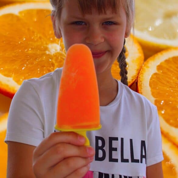 best sugar free popsicles best sugar free popsicles