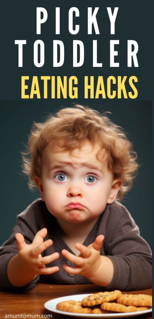 eating tips for picky toddler