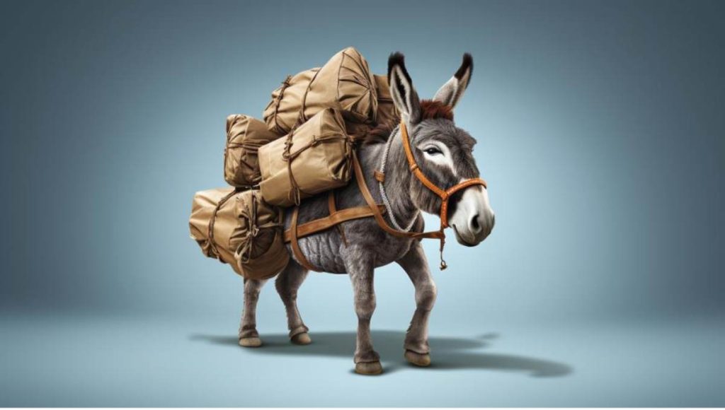 an illustration of a donkey carrying weight for an article with entertaining animal anecdotes