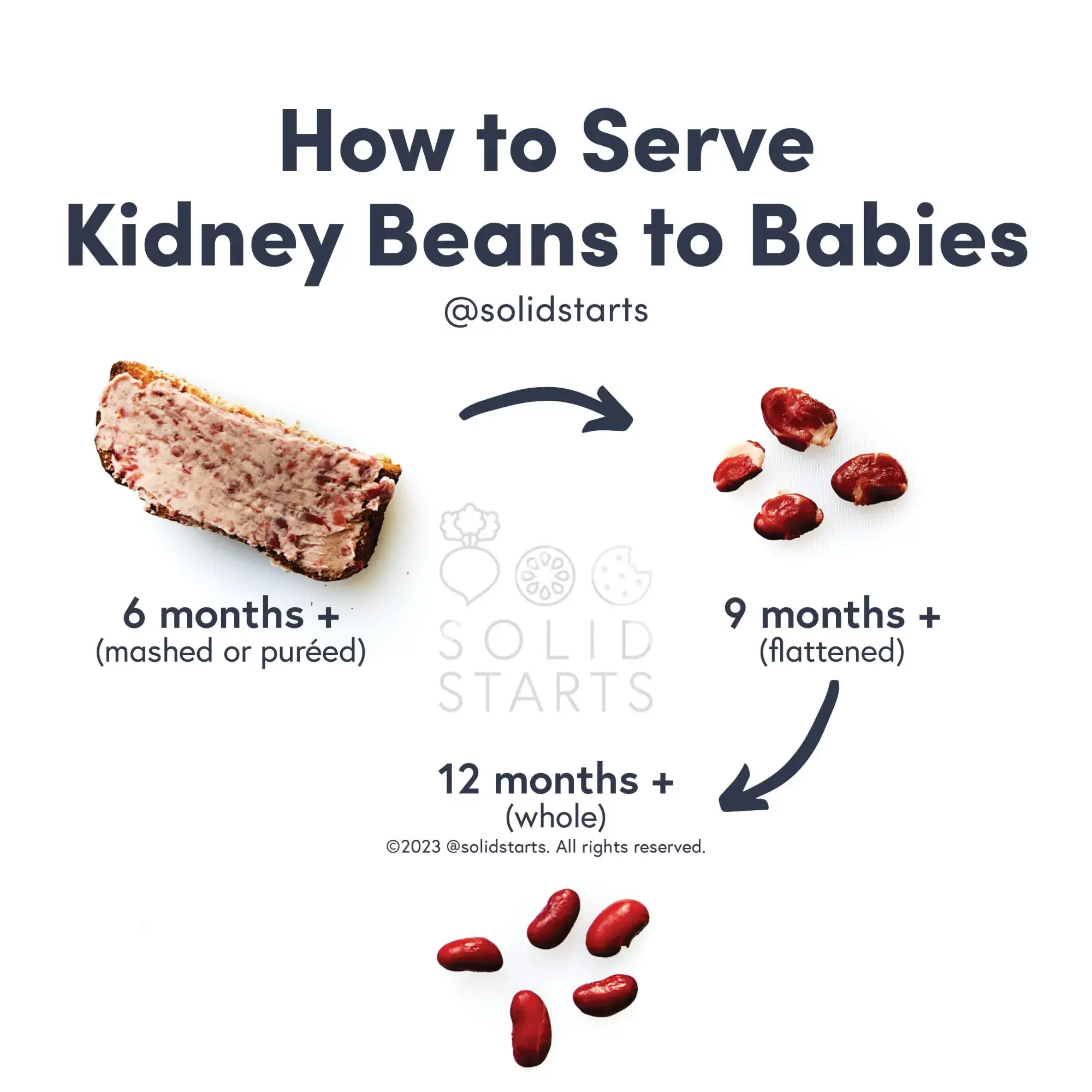 25 Iron Rich Foods for Babies Starting Solids 19 kidney beans for baby iron support