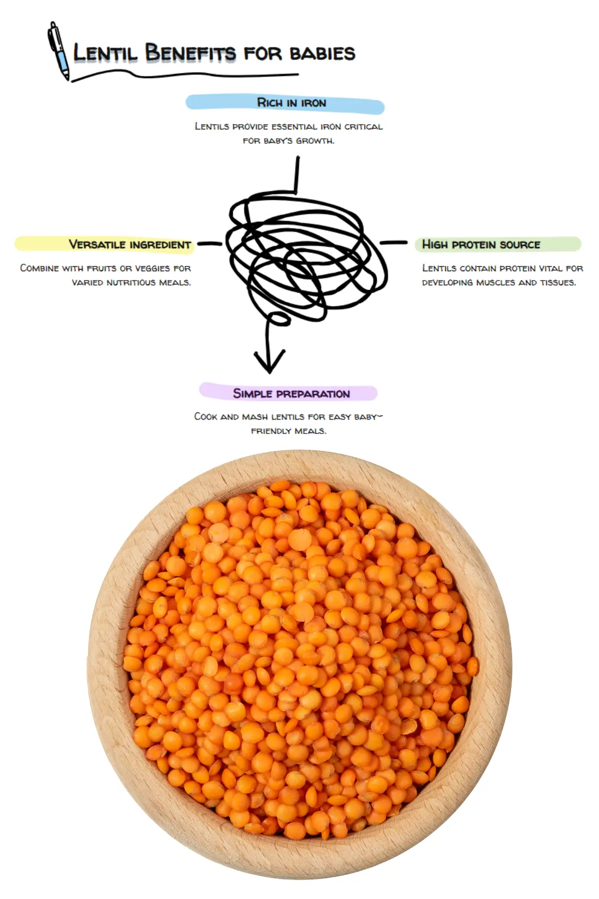 25 Iron Rich Foods for Babies Starting Solids 9 lentil benefits for babies infographic