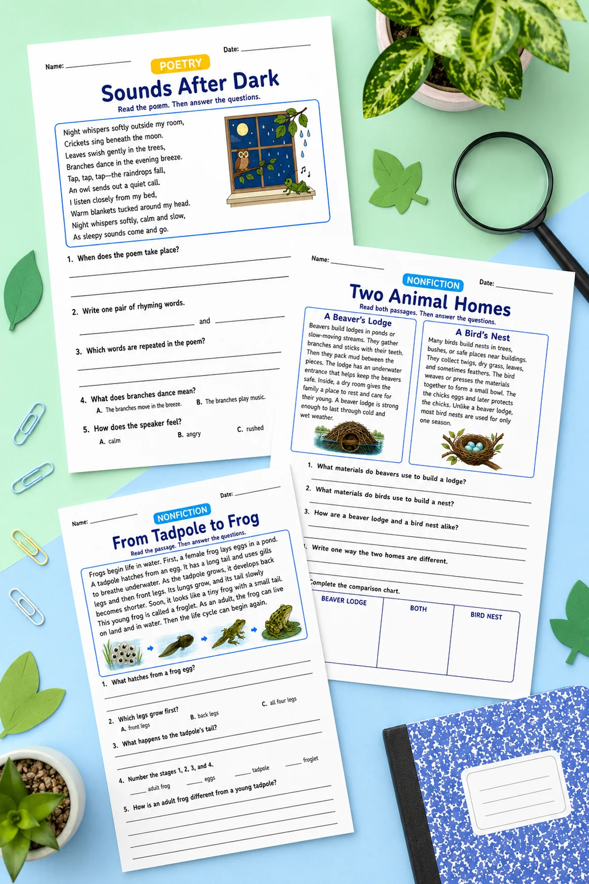 Free 2nd Grade Reading Comprehension Worksheets: 10 Printable Passages 4 Preview of 2nd grade reading comprehension worksheets with poetry, frog life cycle, and animal homes passages.