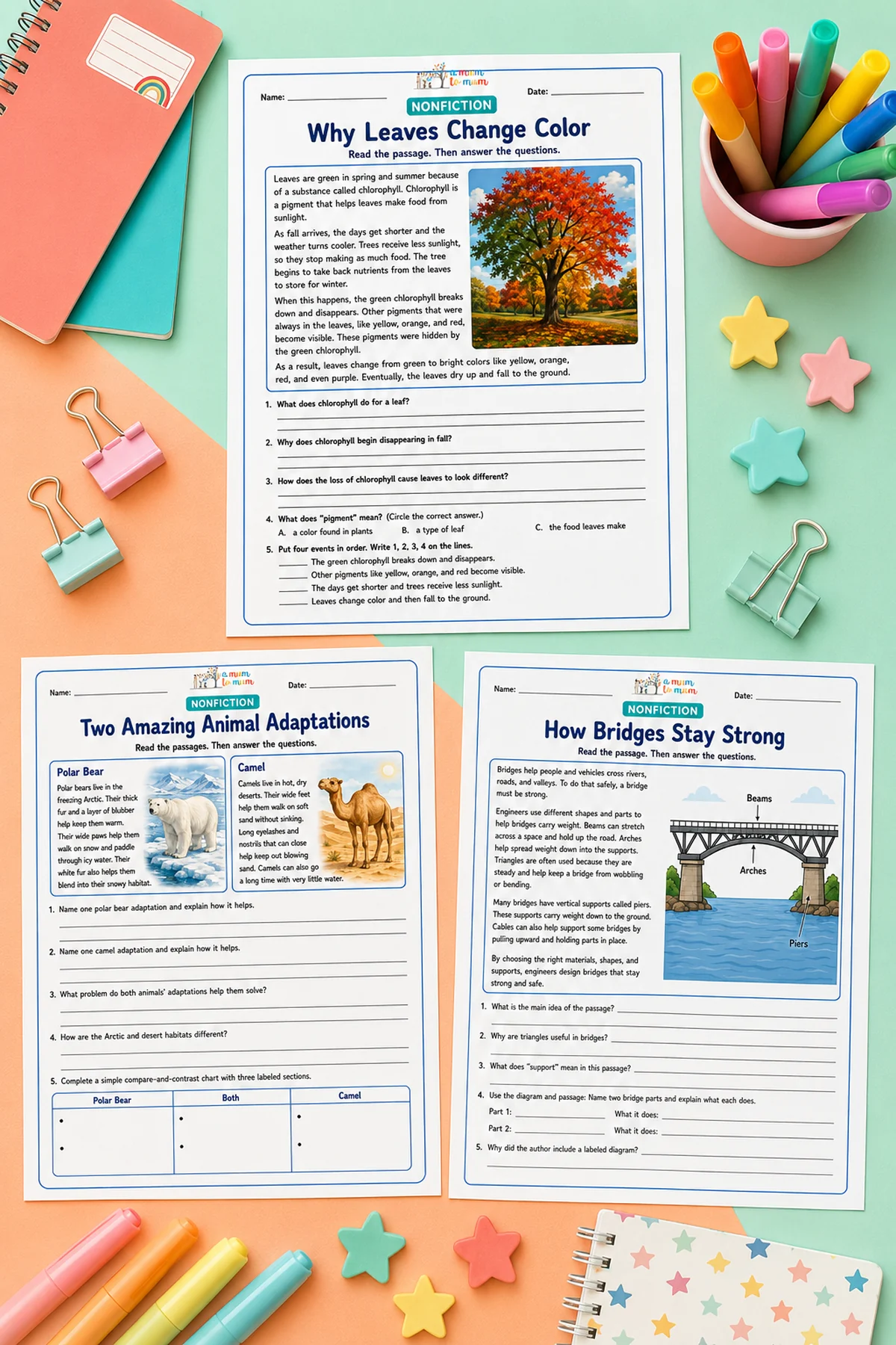 Free 3rd Grade Reading Comprehension Worksheets With Answer Key 2 Preview of 3rd grade nonfiction reading comprehension worksheets about leaves, animals, and bridges.